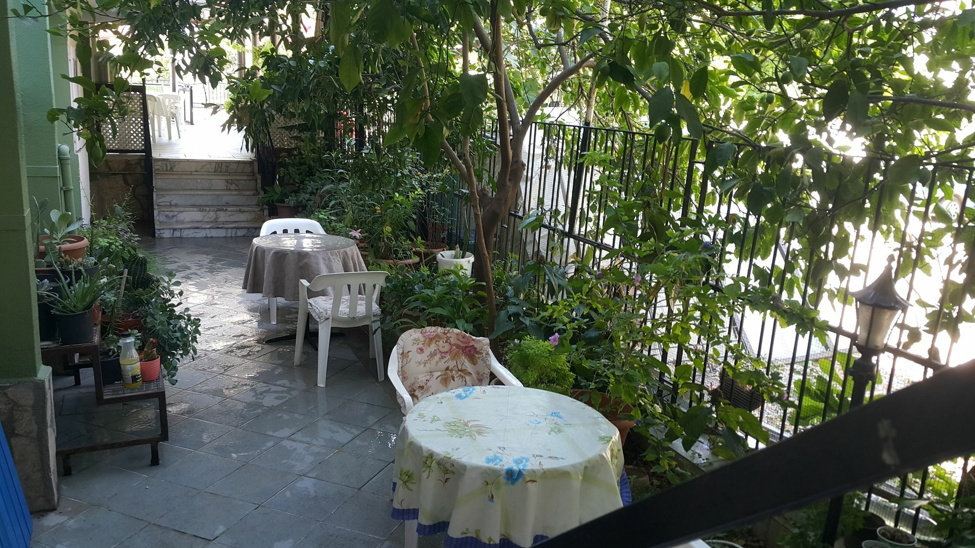 Cicek Hotel & Apartments Fethiye Exteriér fotografie